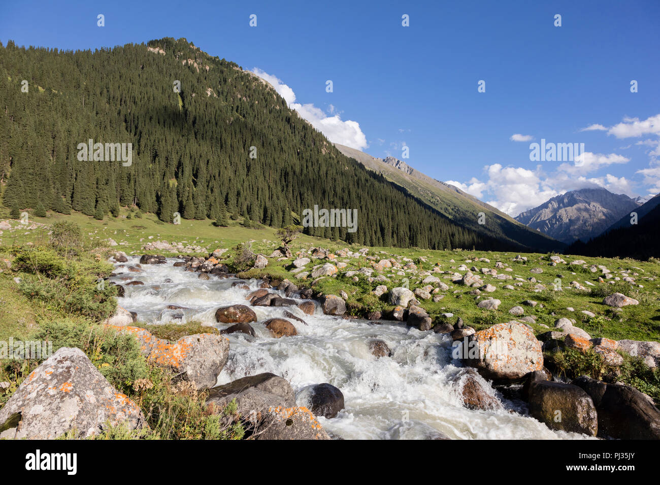 Valle di Altyn-Arashan nel tardo pomeriggio con un torrente in primo piano in Kirghizistan Foto Stock