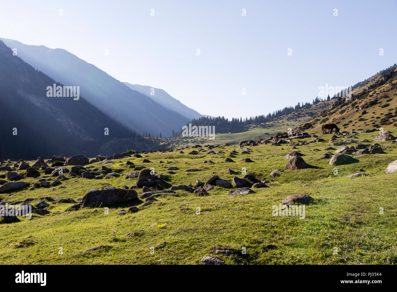 Valle di Altyn-Arashan nel tardo pomeriggio con gli ultimi raggi di sole in Kirghizistan Foto Stock