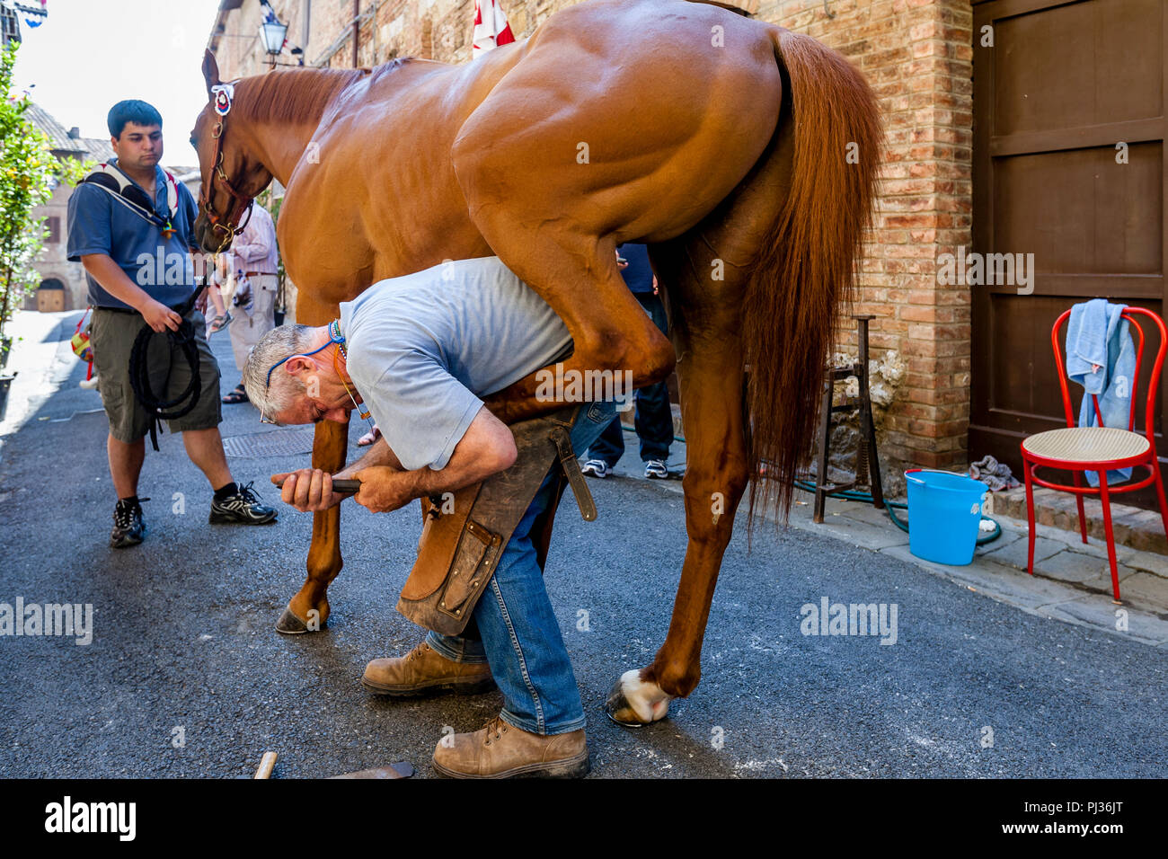 Stallieri dall'Istrice (Porcupine) Contrada ferratura il loro cavallo, il Palio di Siena, Siena, Italia Foto Stock