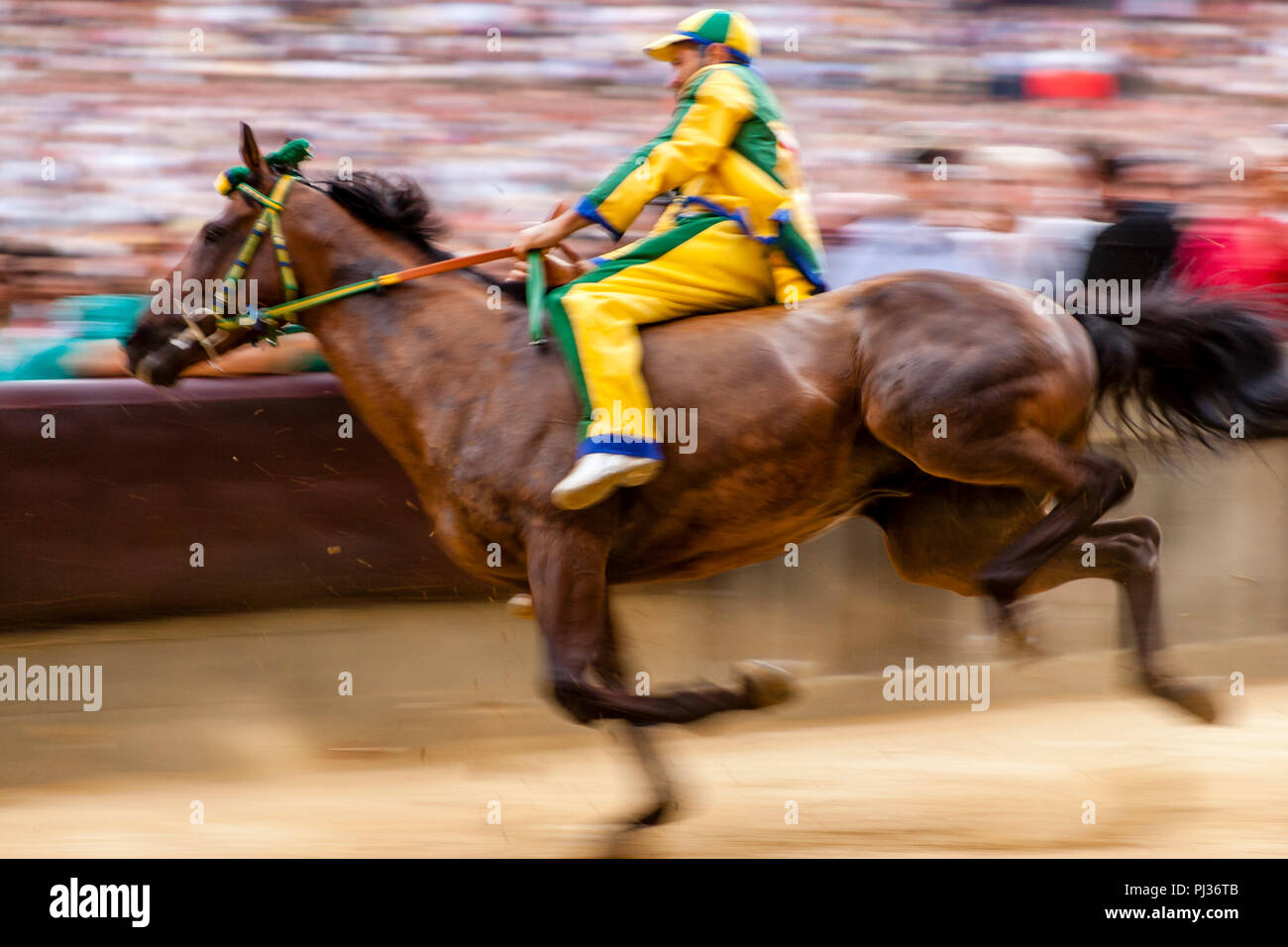 Un fantino di equitazione per il Bruco (Caterpillar) Contrada prende parte  a una prova di gara in Piazza del Campo, il Palio di Siena, Siena, Italia  Foto stock - Alamy