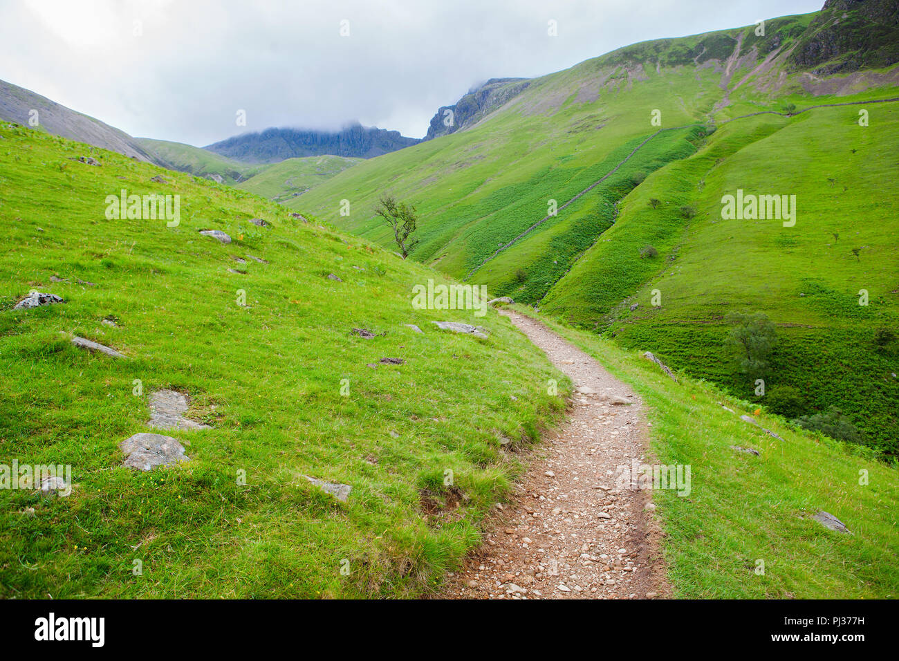 Modo di Scafell Pike, la montagna più alta in Inghilterra, Parco Nazionale del Distretto dei Laghi, Inghilterra, il fuoco selettivo Foto Stock