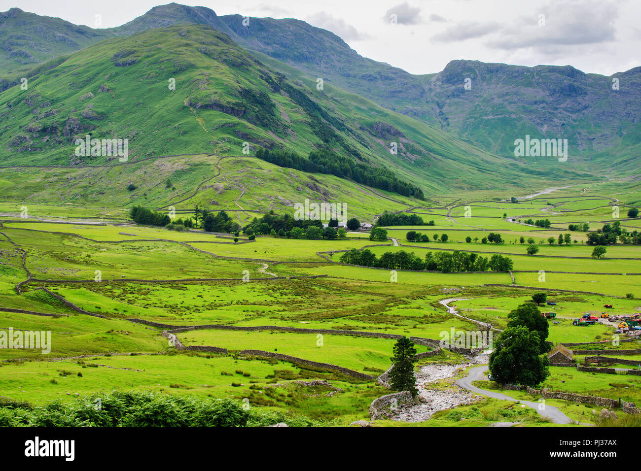 Incredibile verde rurale paesaggi nel Parco Nazionale del Distretto dei Laghi, Inghilterra, muro di pietra e di vacche, montagne sullo sfondo, il fuoco selettivo Foto Stock