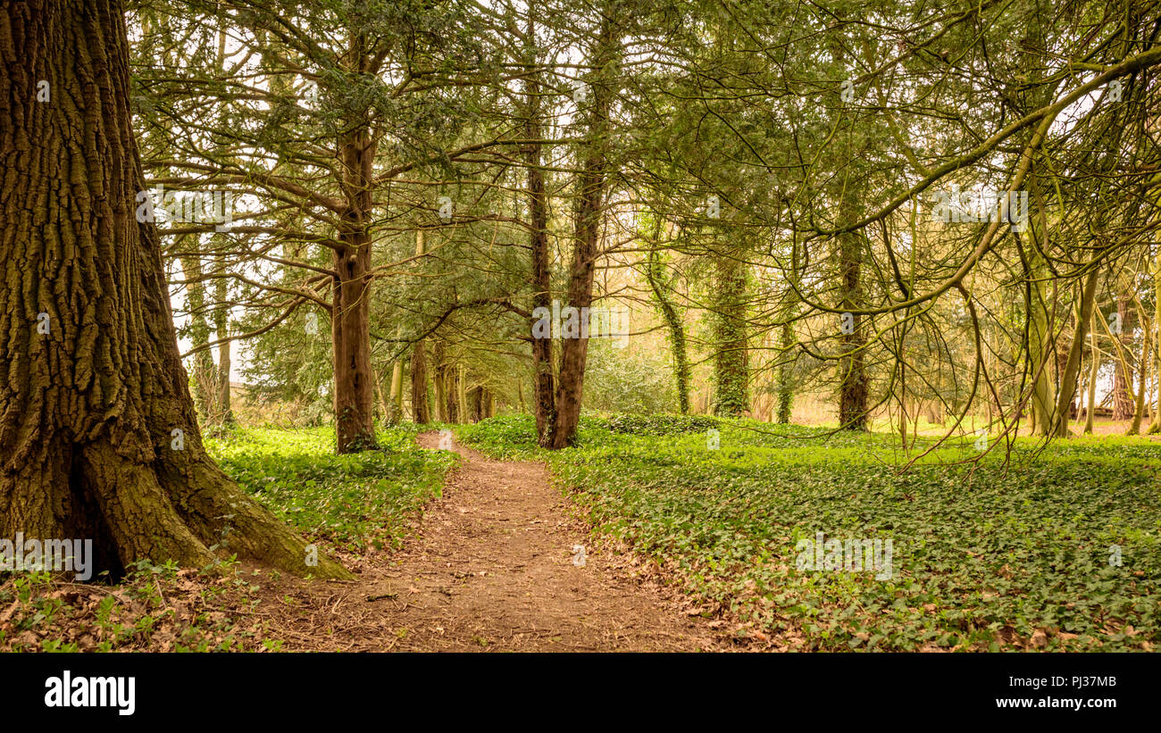 Trovare il tuo percorso Foto Stock