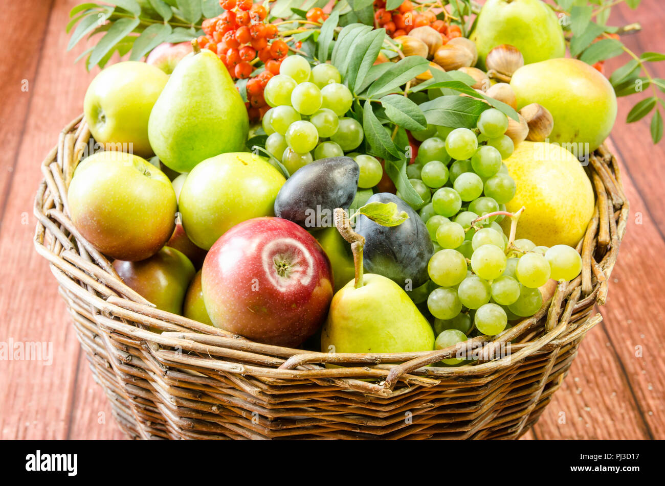 Autunno frutta di stagione - il rosso e il verde mele, uva, pera, rowanberry e le prugne Foto Stock