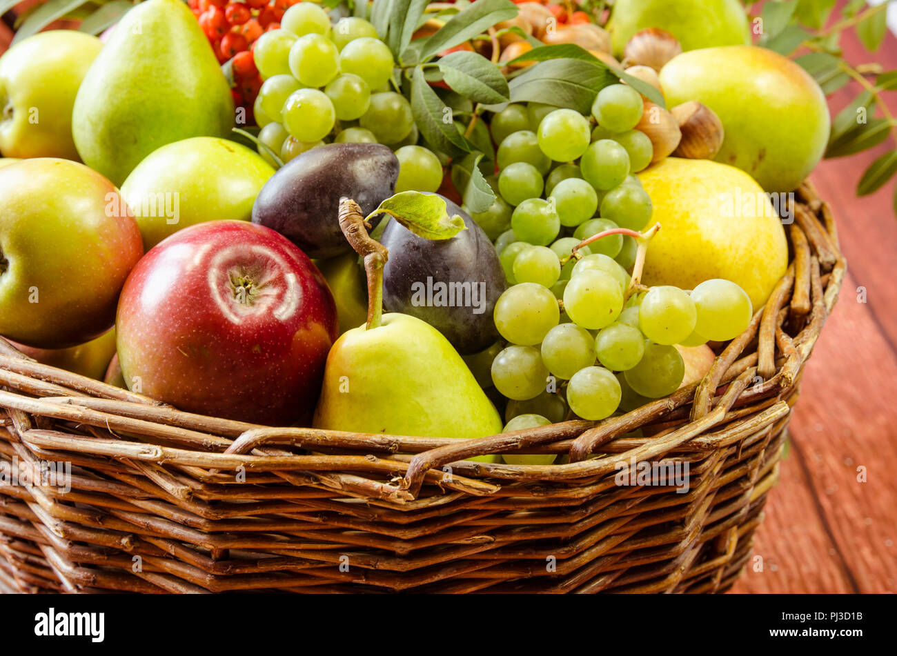 Autunno frutta di stagione - il rosso e il verde mele, uva, pera, rowanberry e le prugne Foto Stock
