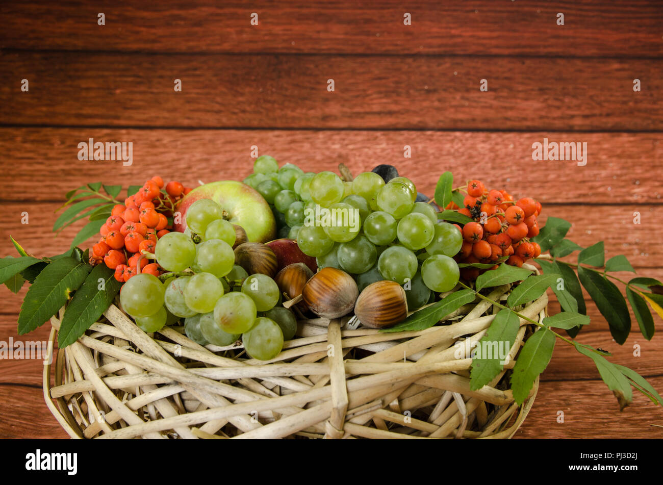 Autunno frutta di stagione - il rosso e il verde mele, uva, pera, nocciola, rowanberry e le prugne Foto Stock