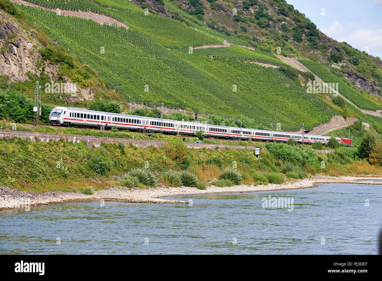 Treni passeggeri tirato da DB 101 classe locomotiva elettrica lungo il fiume Reno verso la spruzzatrice, Osterpai opposta, con vigneti in background Foto Stock Treni passeggeri tirato da DB 101 classe locomotiva elettrica lungo il fiume Reno verso la spruzzatrice, Osterpai opposta, con vigneti in background Foto Stock