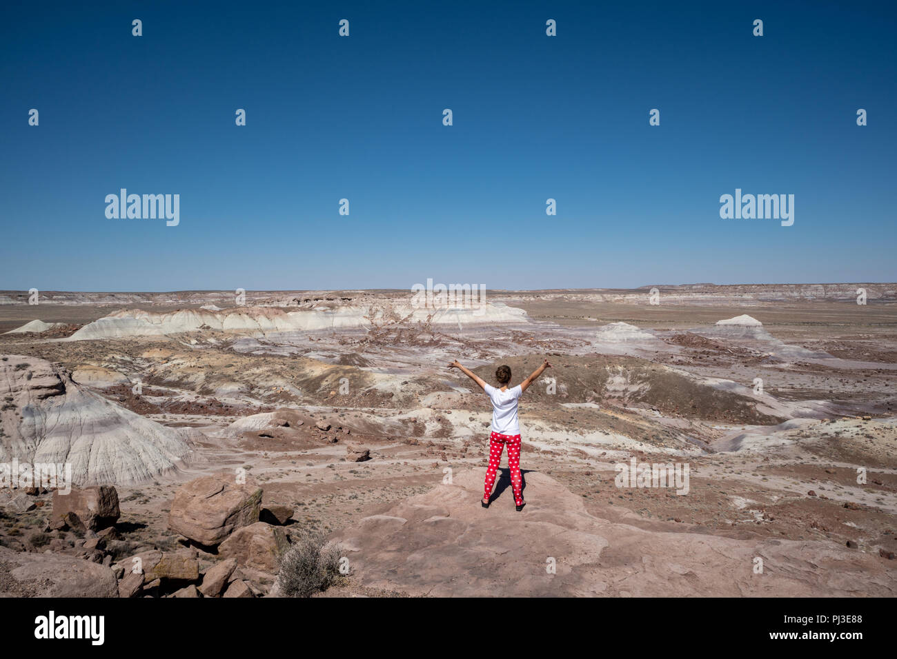 Viaggiatori femmina si erge su una roccia nel Parco Nazionale della Foresta Pietrificata in Arizona. Concept per il solo viaggio femmina e la libertà Foto Stock