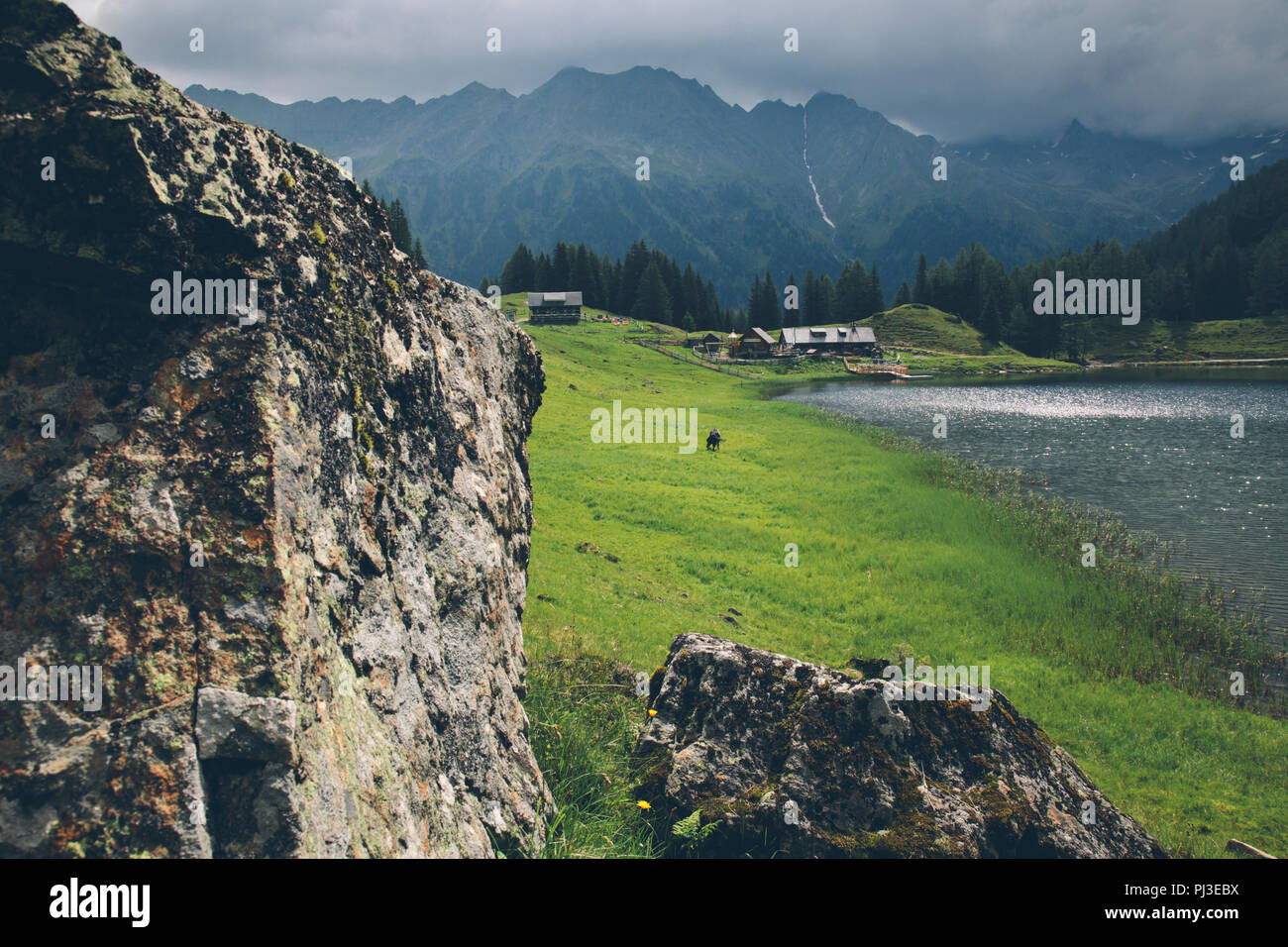 Austrian Alm, Alpi, cavallo, Duisitzkarsee, Schladminger Tauern, Schladming, Stiria, Austria Foto Stock