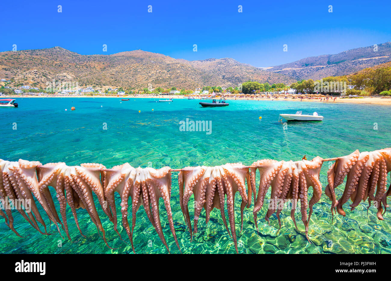 Greco tradizionale cibo di mare, polpo, essiccazione al sole, Milopotas, dell'isola di Ios, Cicladi Grecia Foto Stock