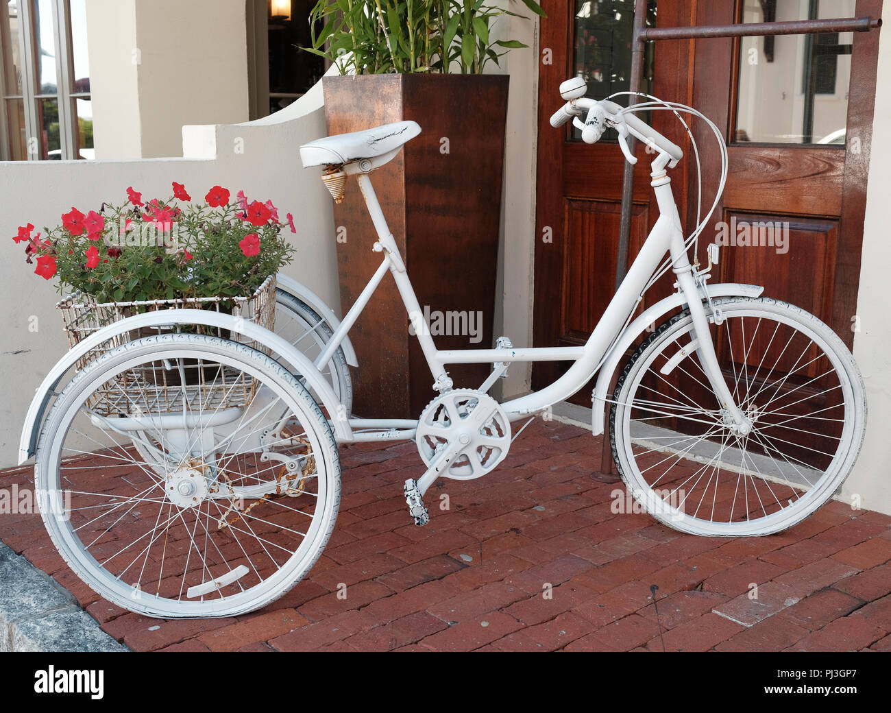Bianca decorativa bicicletta con un cesto pieno di fiori di colore rosso sul display in Florida, Stati Uniti d'America. Foto Stock