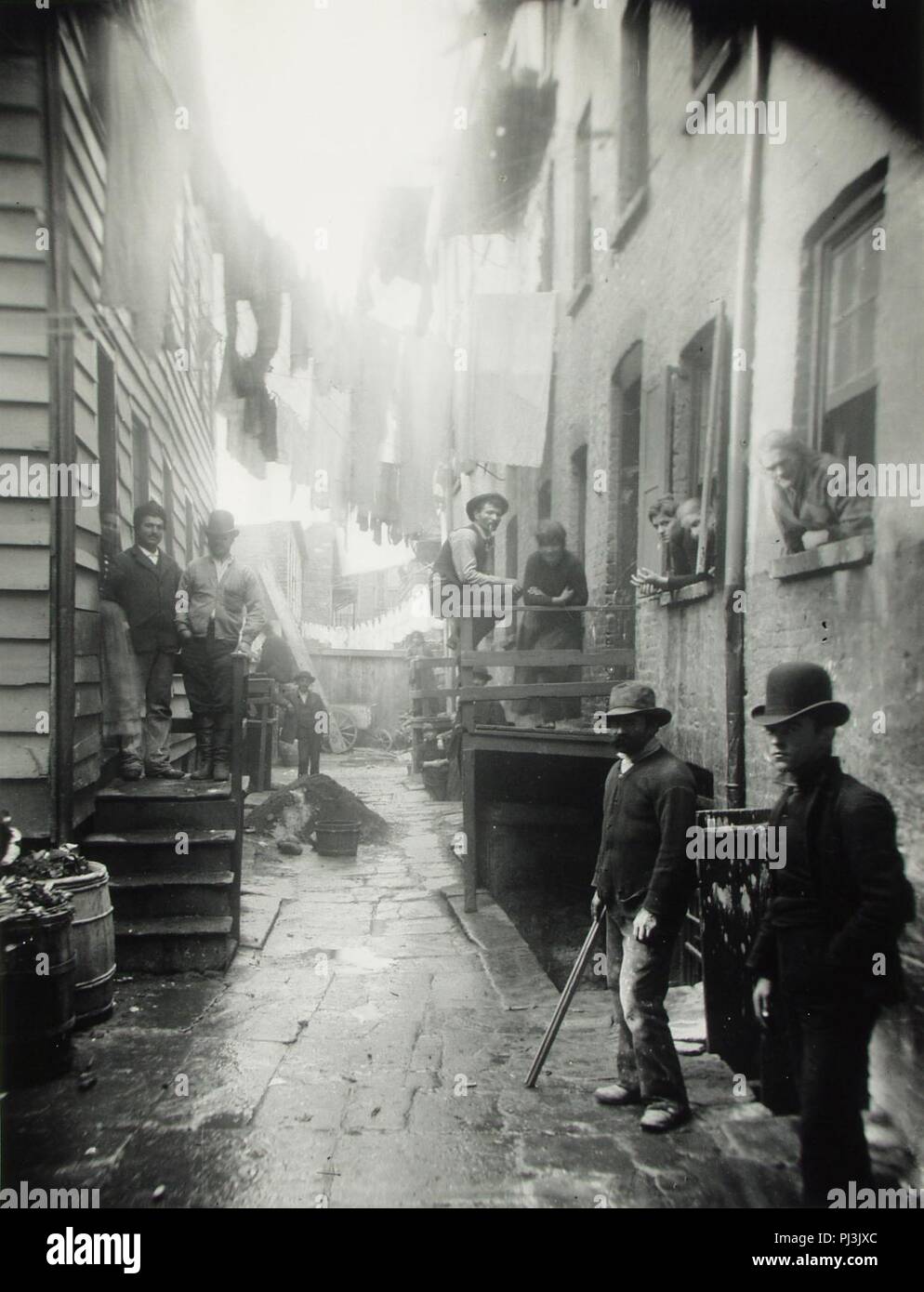 Bandit il posatoio da Jacob Riis. Foto Stock