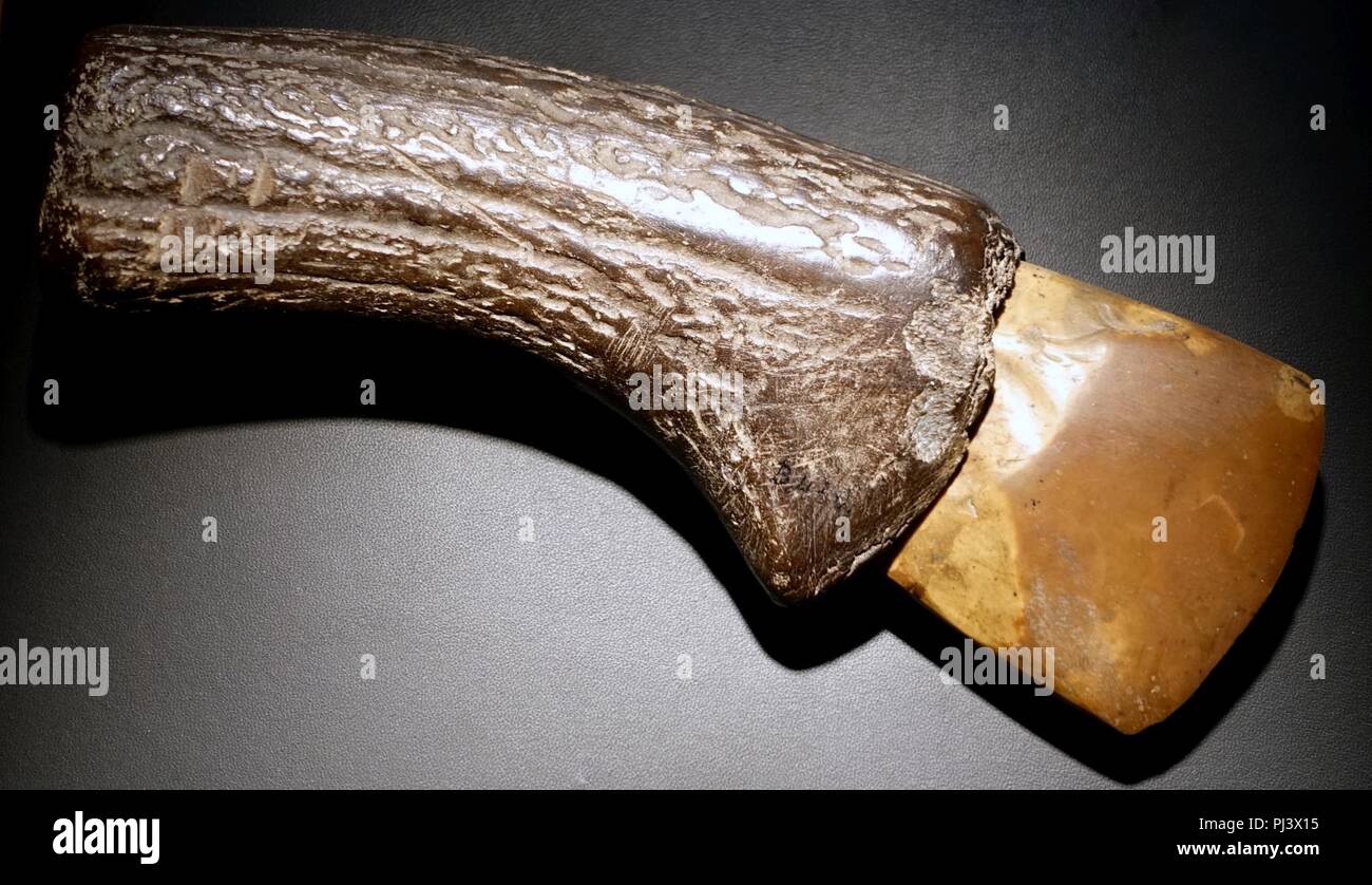 Ax, Betekom, del neolitico Seine-Oise-Marne civiltà, c. 3400-2200 A.C. in pietra levigata in corno di cervo - maniglia Foto Stock