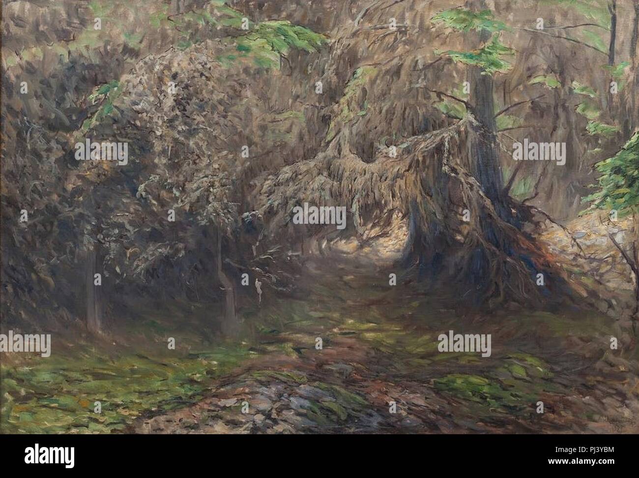 Axel Fahlcrantz, Skogslandskap, 1921. Foto Stock