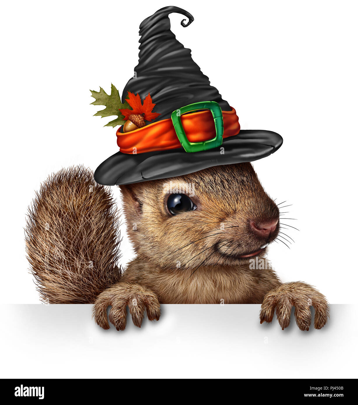 Festa di Halloween scoiattolo segno vuoto concetto come carino felice wildlife indossando un witch hat tenendo un cartello bianco come una festosa caduta. Foto Stock