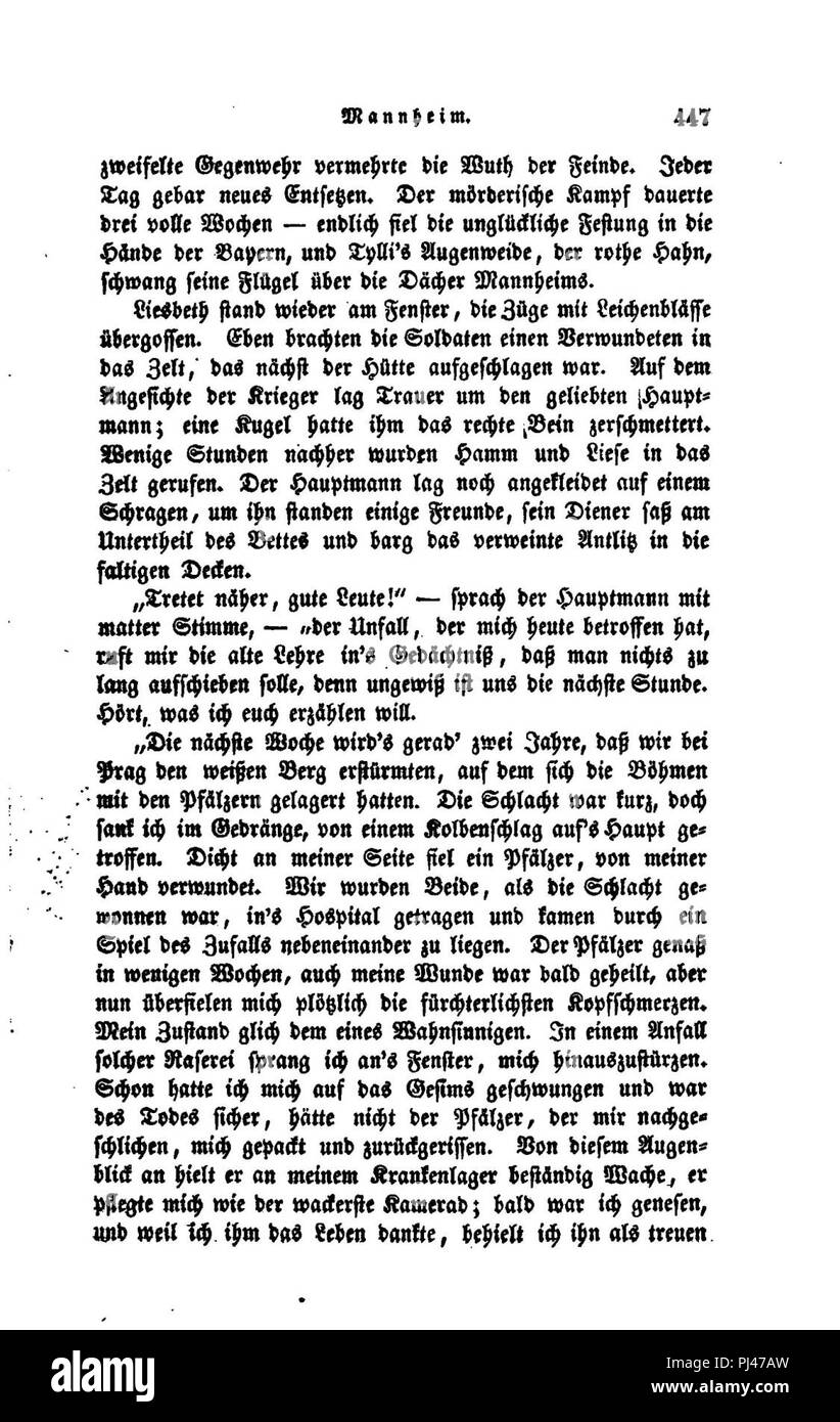 Badisches Sagenbuch II 447. Foto Stock