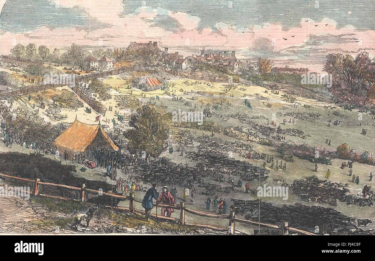 Barnet Fair c. 1849. Foto Stock