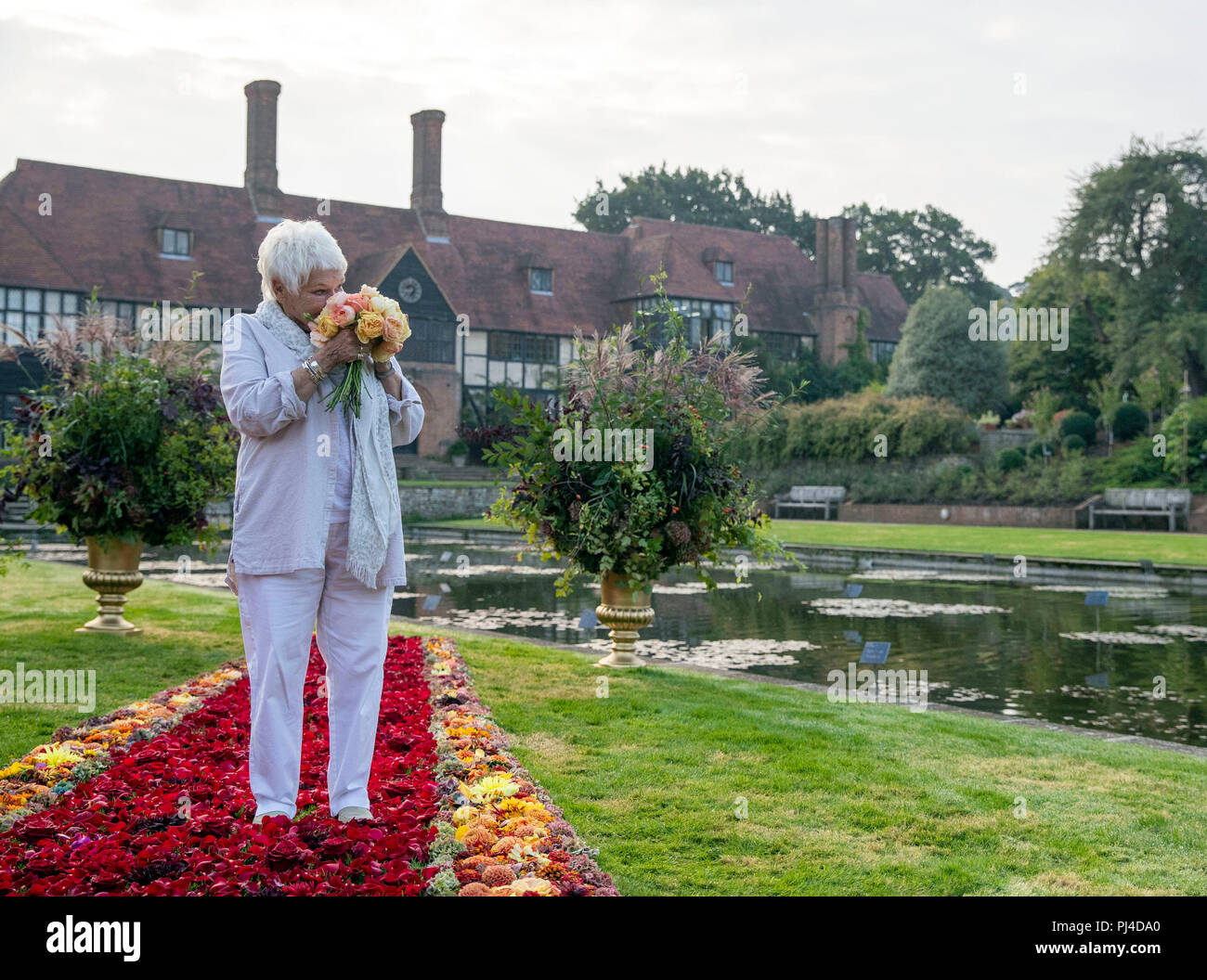 Dame Judi Dench sorge su un 'red' tappeto di fiori prima di aprire il giardino RHS Wisley Flower Show presso i giardini vicino a Woking nel Surrey. Foto Stock