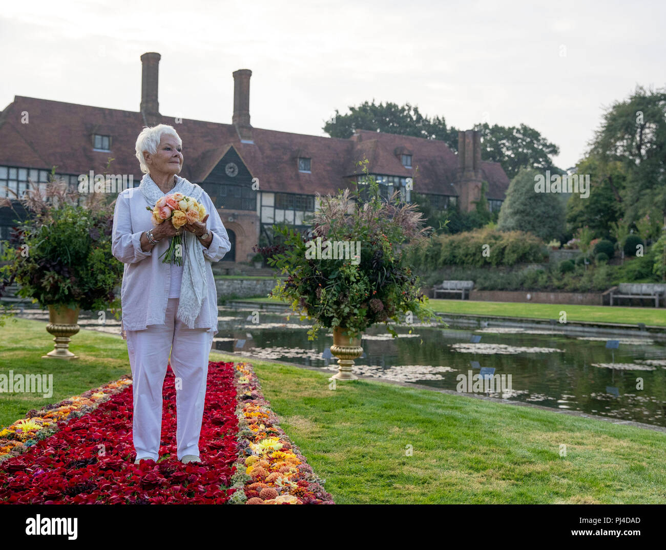 Dame Judi Dench sorge su un 'red' tappeto di fiori prima di aprire il giardino RHS Wisley Flower Show presso i giardini vicino a Woking nel Surrey. Foto Stock
