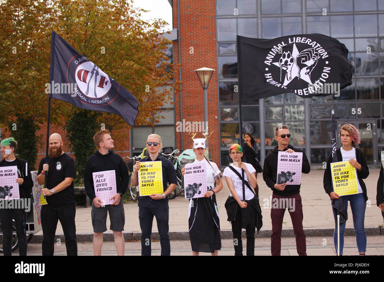 Copenhagen, Danimarca - 1 Settembre 2018: vegani e vegetariani per la liberazione degli animali protesta contro una manifestazione contro la crudeltà verso gli animali e ea Foto Stock