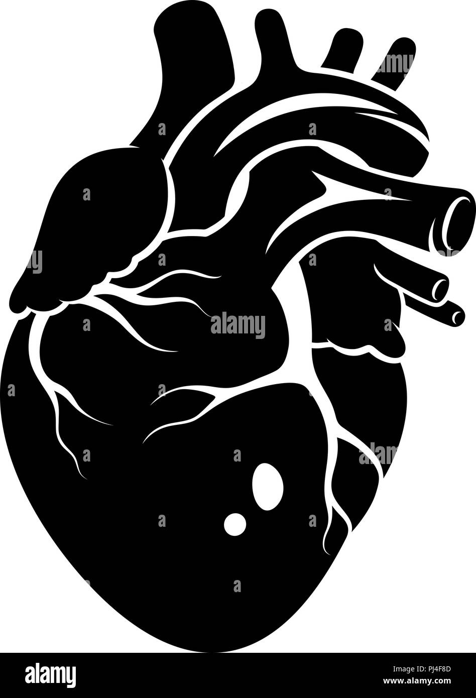 Cuore umano icona isolato su uno sfondo bianco Illustrazione Vettoriale