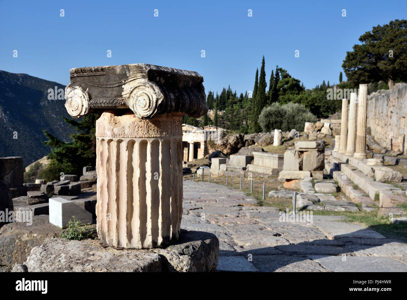 Capitale di una colonna a Delfi, Grecia centrale Foto Stock
