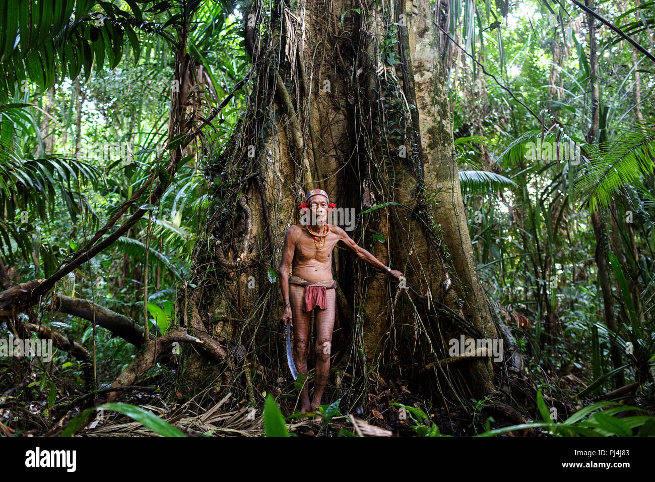 Vecchio sciamano della tribù Mentawai coperto con tatoo in piedi in un vecchio albero nella giungla con una spada in mano, Siberut, Sumatra, Indonesia Foto Stock