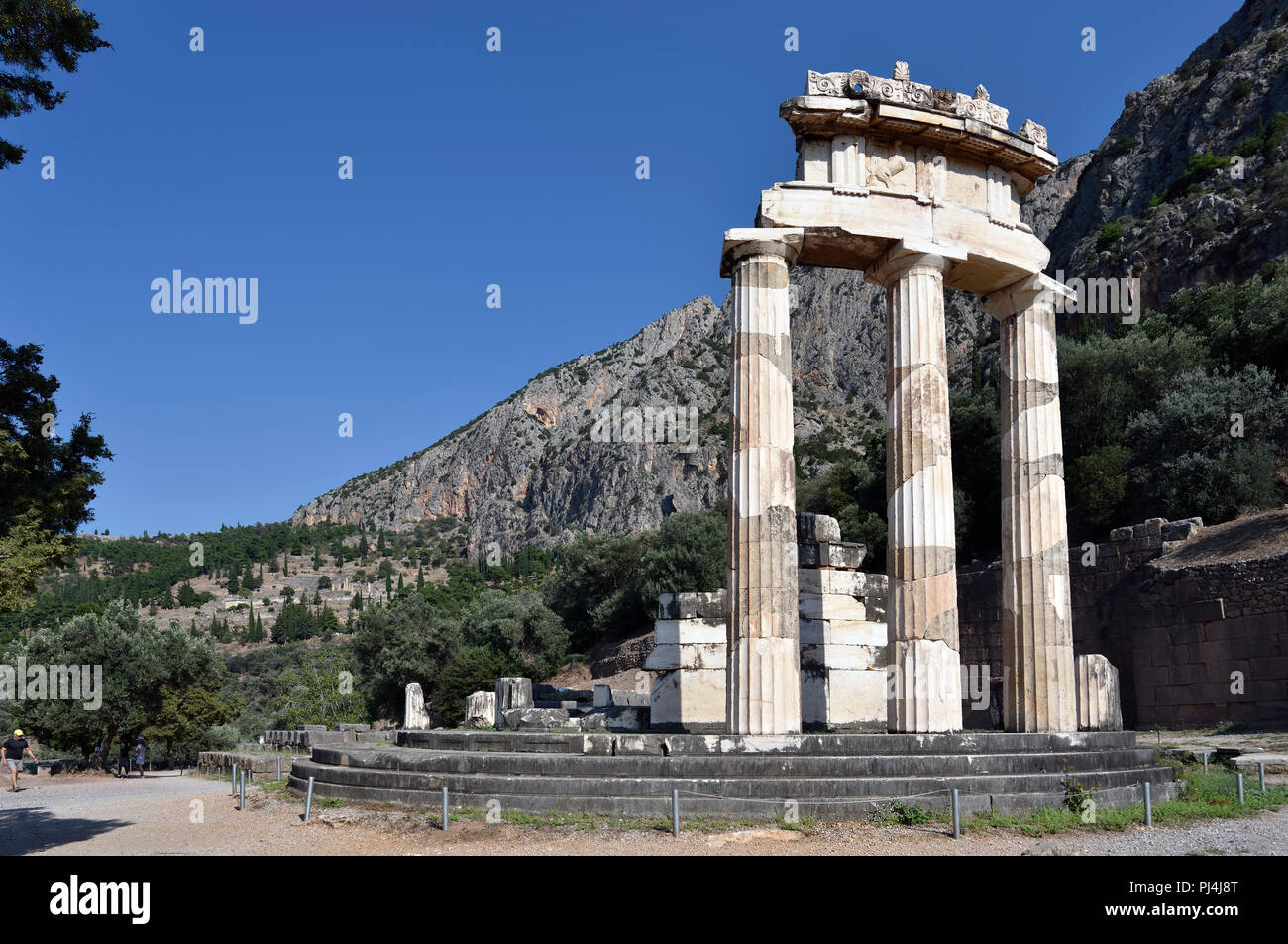 La tholos ad Athena Pronaia tempio in Delphi, GRECIA CENTRALE Foto Stock