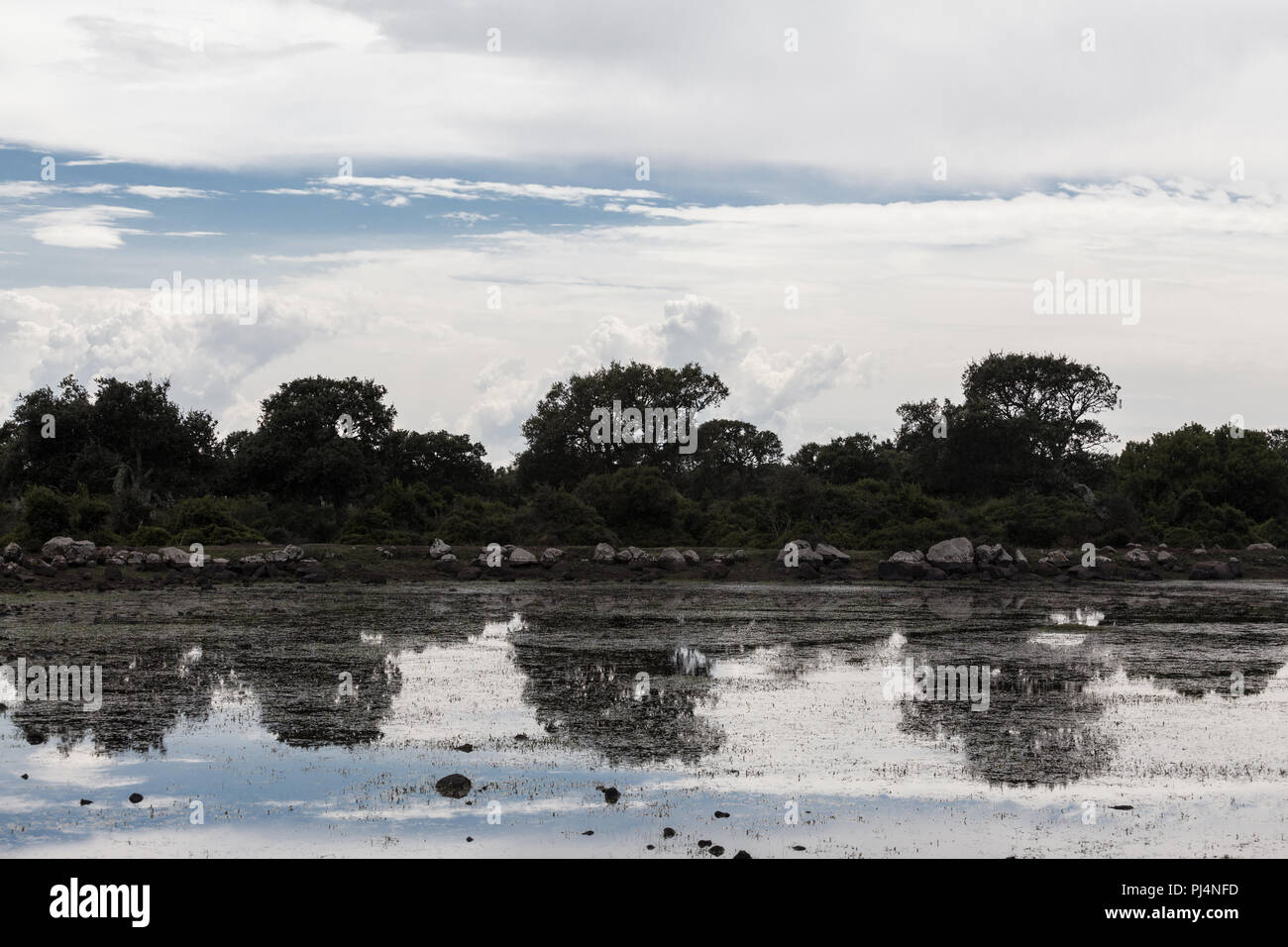 Paesaggio e di riflessione nella Giara di Gesturi, Sardegna, Italia, Europa. Foto Stock