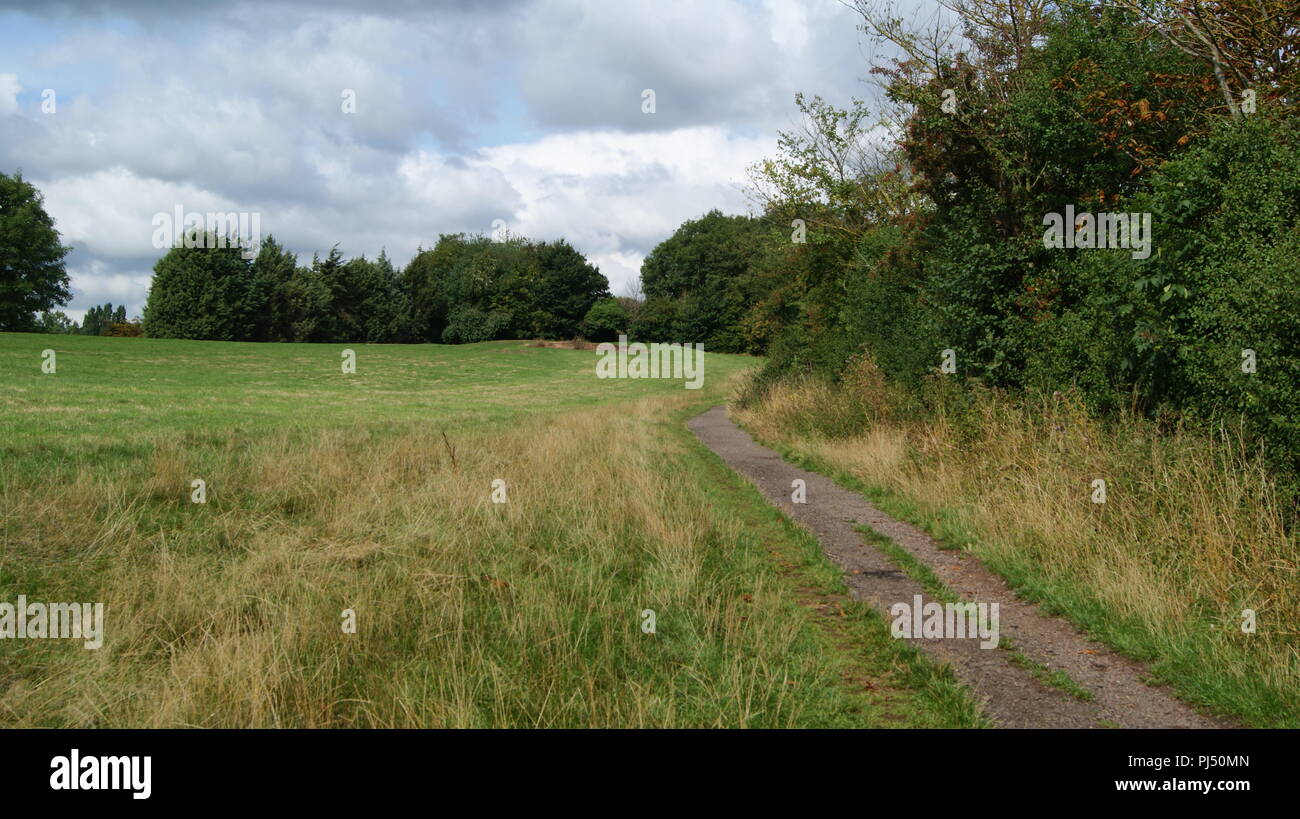 Newbold Comyn riserva naturale, leamington spa, Regno Unito Foto Stock