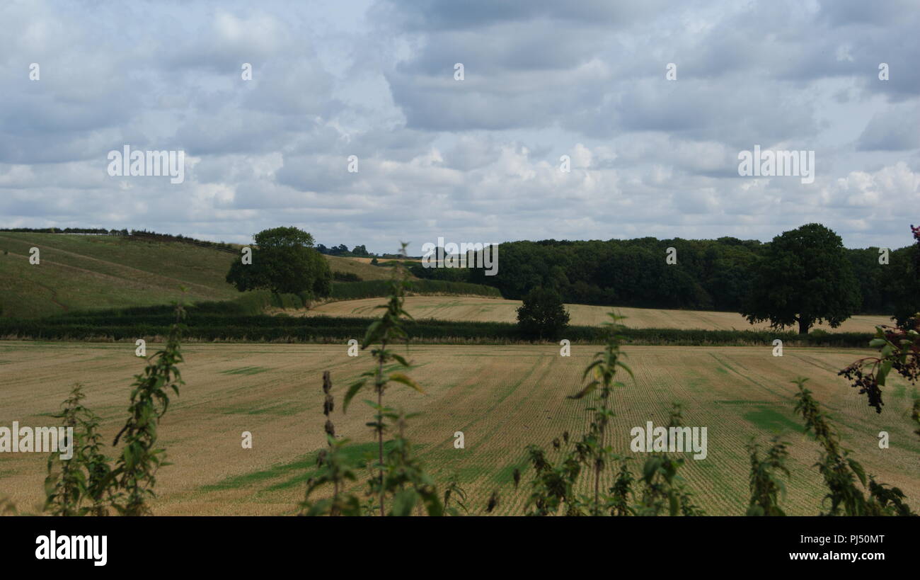 Newbold Comyn riserva naturale, leamington spa, Regno Unito Foto Stock