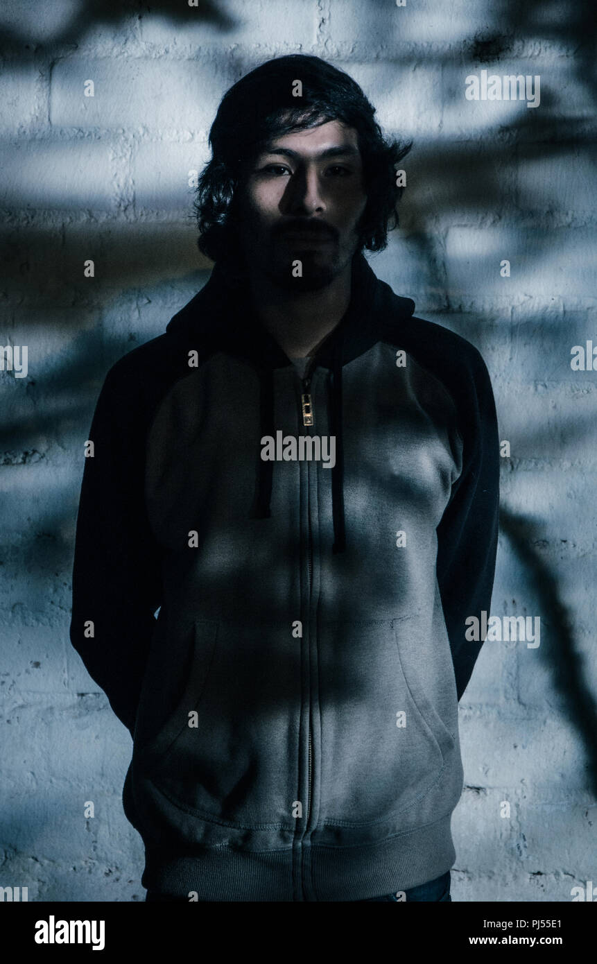 Ritratto di giovane uomo con la barba che indossa camicia e sfumature di alberi del parco Foto Stock