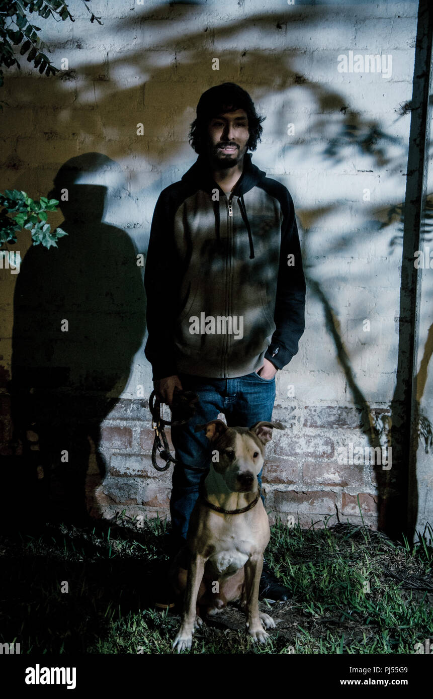 Ritratto di giovane uomo barbuto con camicia e sfumature di alberi in un parco con cani pitbull Foto Stock