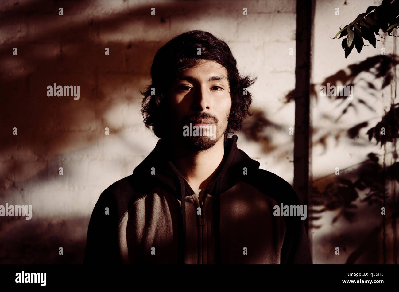 Ritratto di giovane uomo con la barba che indossa camicia e sfumature di alberi del parco Foto Stock