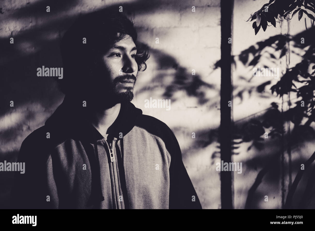 Ritratto di giovane uomo con la barba che indossa camicia e sfumature di alberi del parco Foto Stock