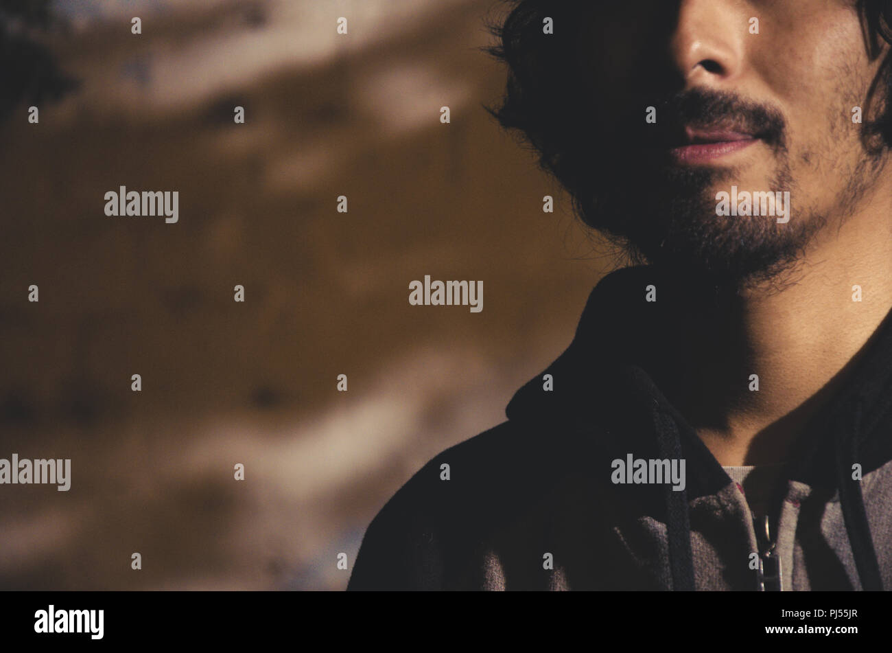 Ritratto di giovane uomo con la barba che indossa camicia e sfumature di alberi del parco Foto Stock