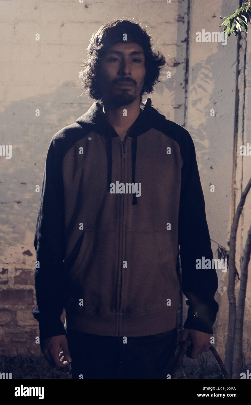 Ritratto di giovane uomo con la barba che indossa camicia e sfumature di alberi del parco Foto Stock