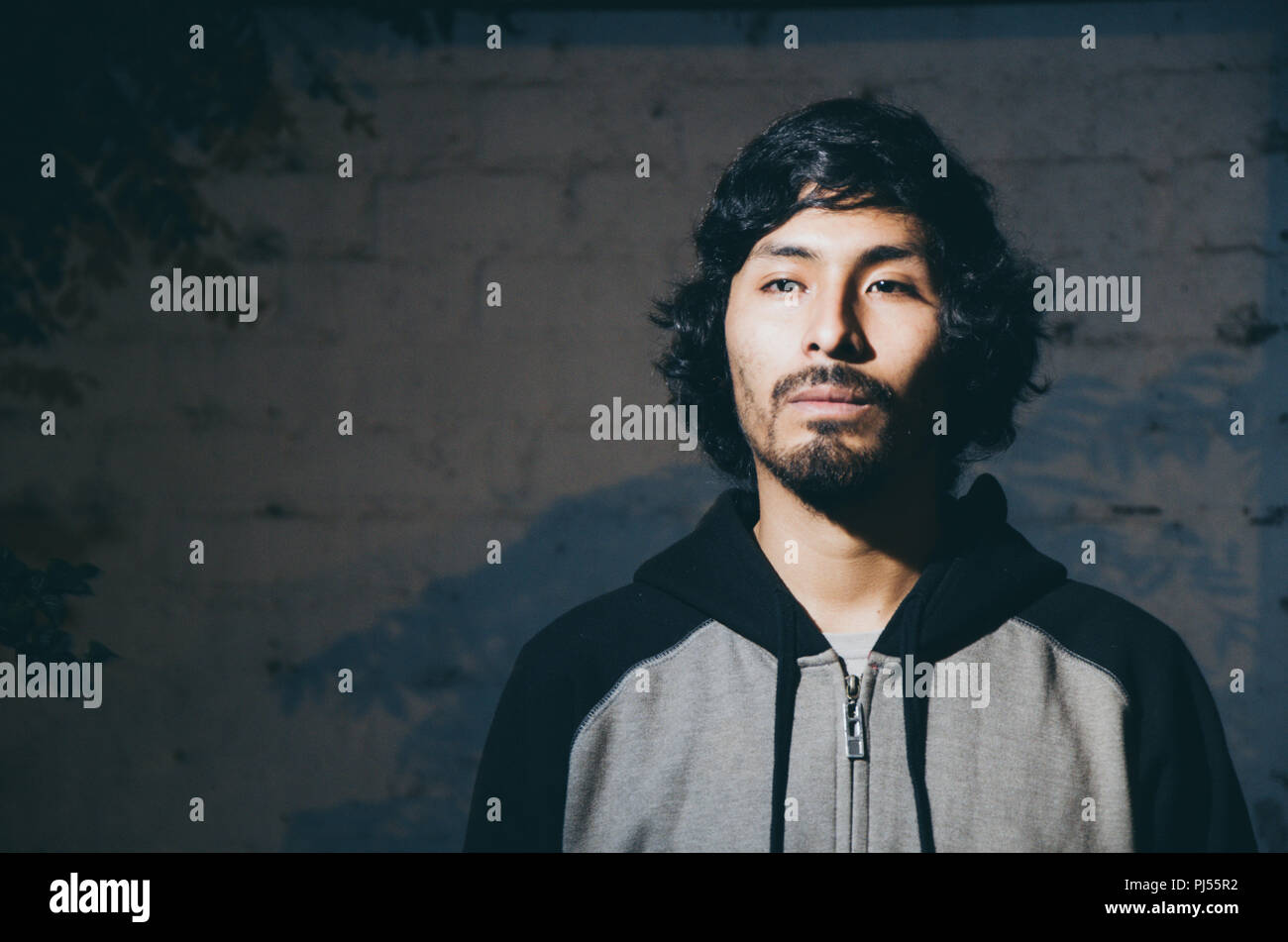 Ritratto di giovane uomo con la barba che indossa camicia e sfumature di alberi del parco Foto Stock