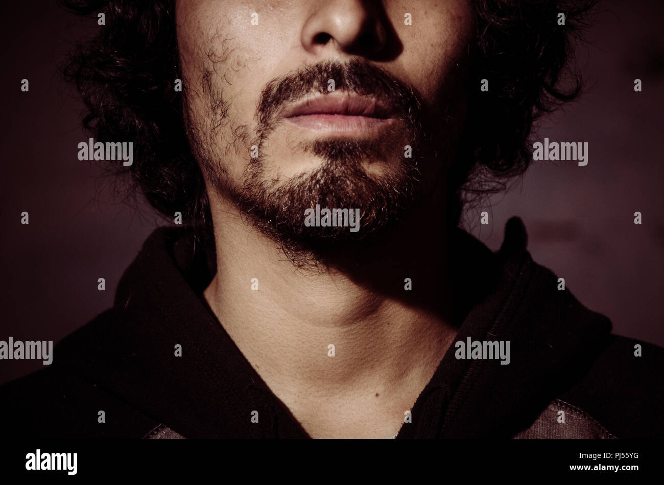 Ritratto di giovane uomo con la barba che indossa camicia e sfumature di alberi del parco Foto Stock