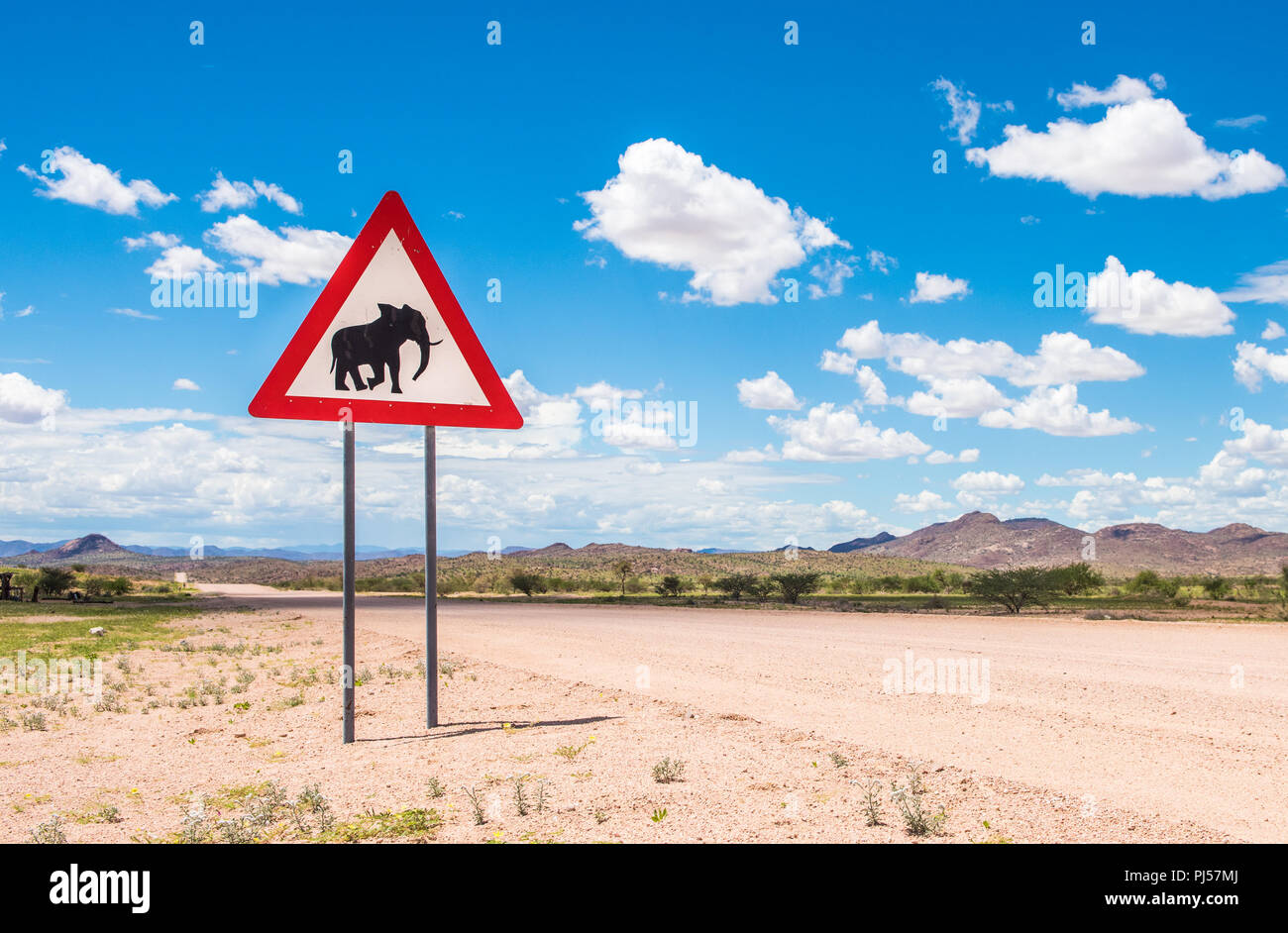 Gli elefanti attraversamento strada segno di avvertimento, Damaraland, Namibia Foto Stock