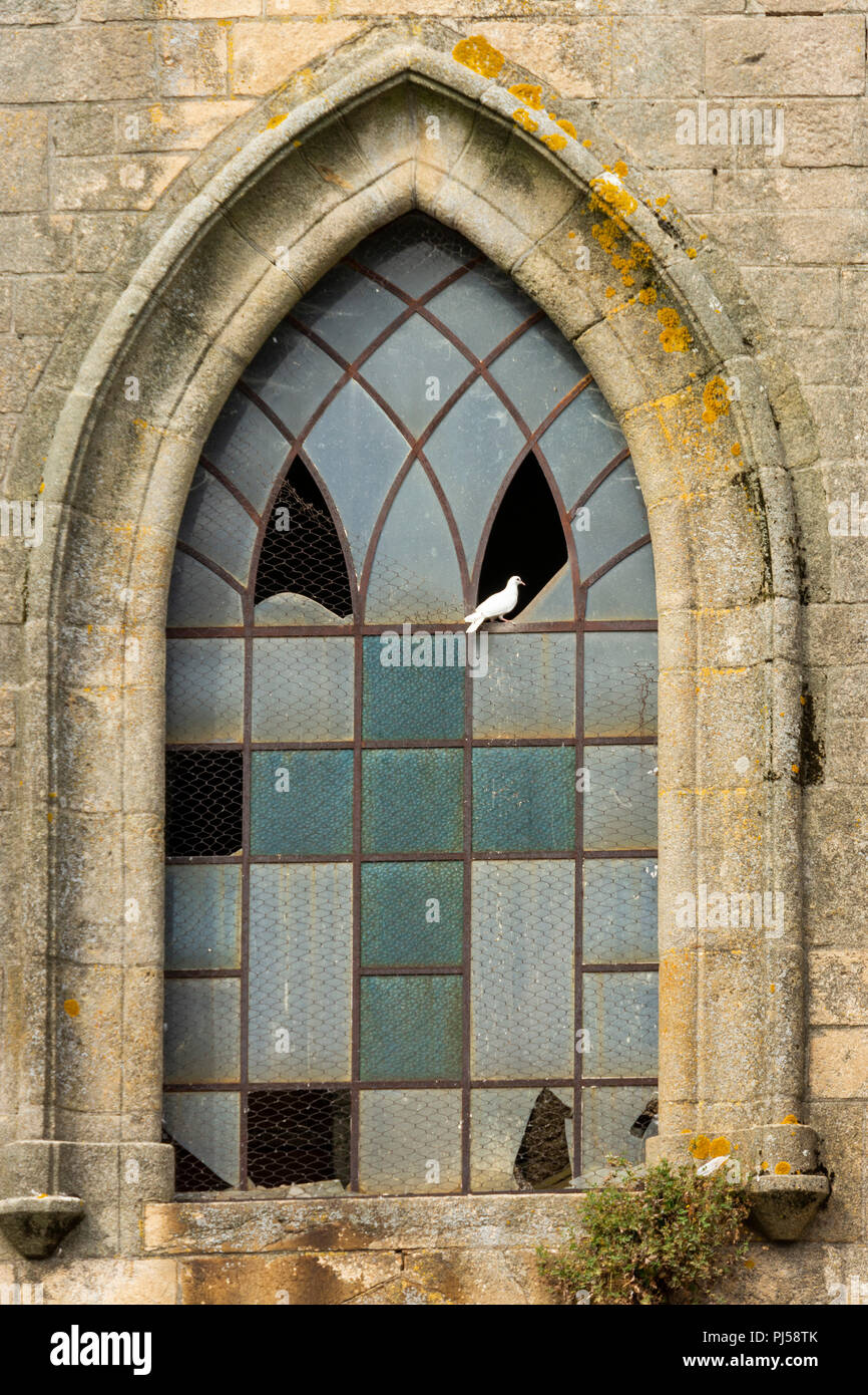 Langogne, piccioni su una chiesa windows, Lozère, Occitanie, Francia, Euorpe Foto Stock