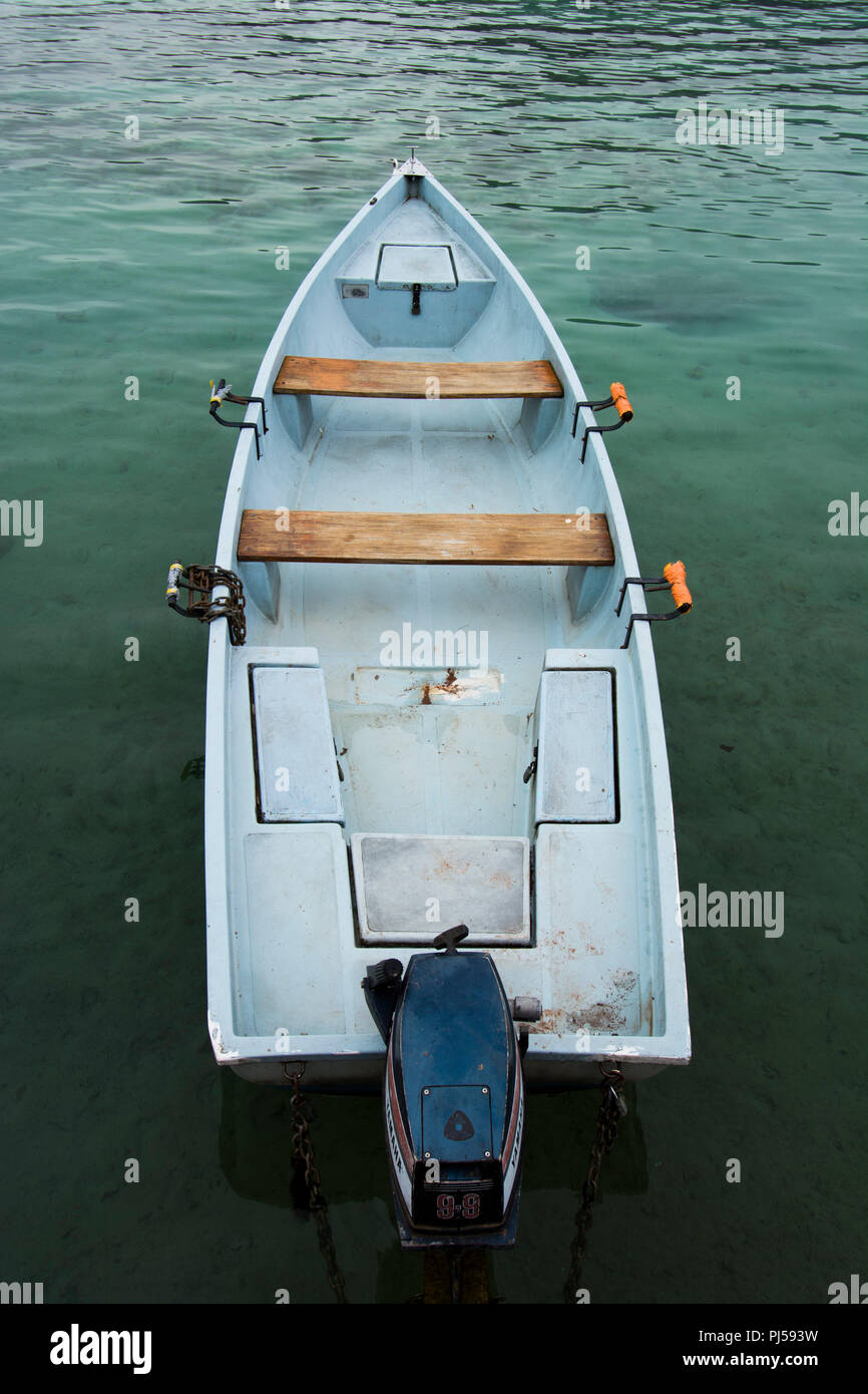 Ione in barca il lago di Annecy, Haute Savoie, Auvergne Rhone Alpes, Francia Foto Stock