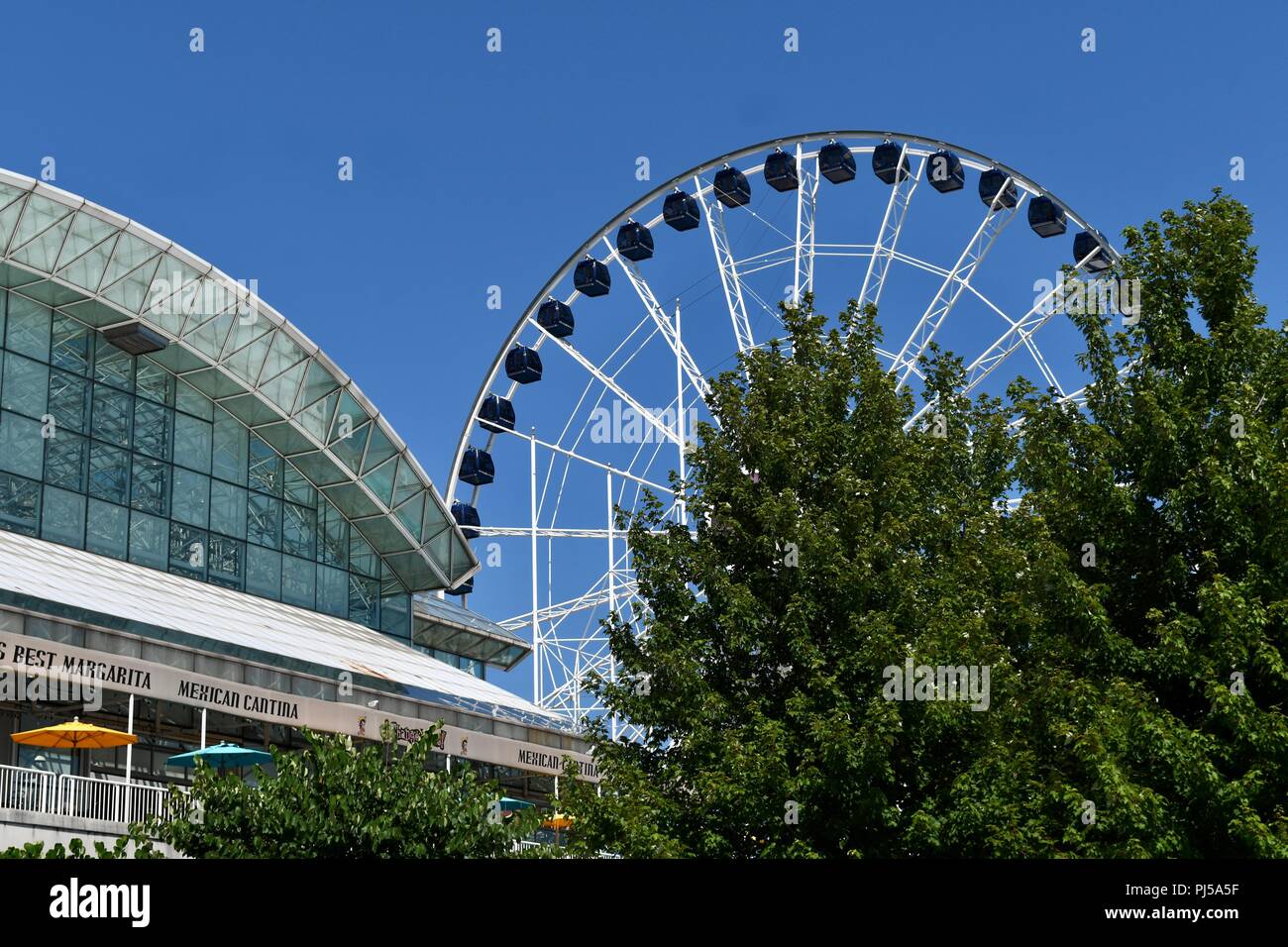 Il Millenium ruota su Chicago il Navy Pier Foto Stock