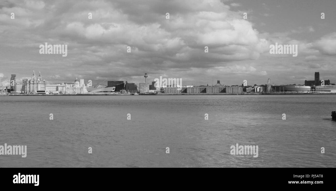 Liverpool, Regno Unito icona edifici di liverpool credit Ian Fairbrother/Alamy Stock Foto Foto Stock