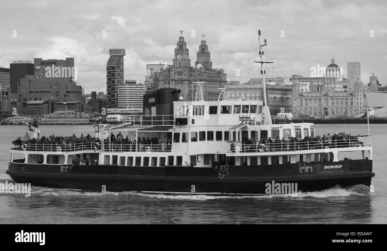 Liverpool, Regno Unito icona edifici di liverpool credit Ian Fairbrother/Alamy Stock Foto Foto Stock