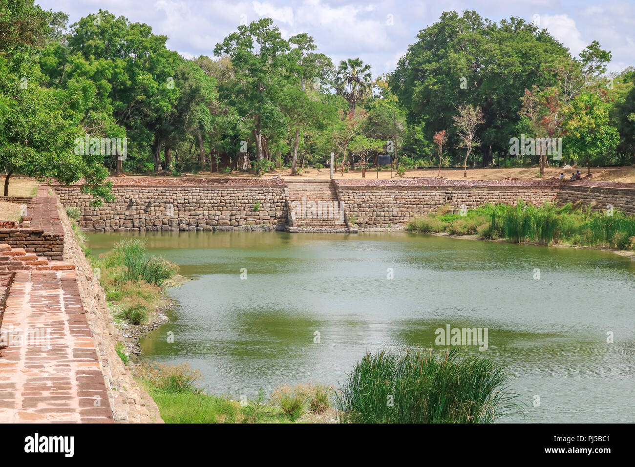 Eth Pokuna, elefante Pond, Anuradhapura, Sri Lanka Foto Stock