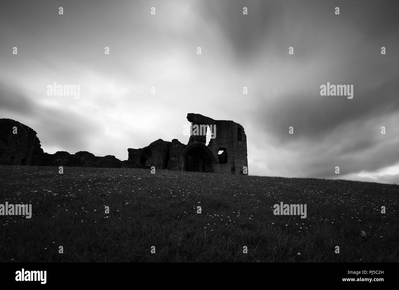 Fotografia di © Jamie Callister. Denbigh Castle, Denbigh, Denbighshire, il Galles del Nord, 8 maggio 2018. Foto Stock