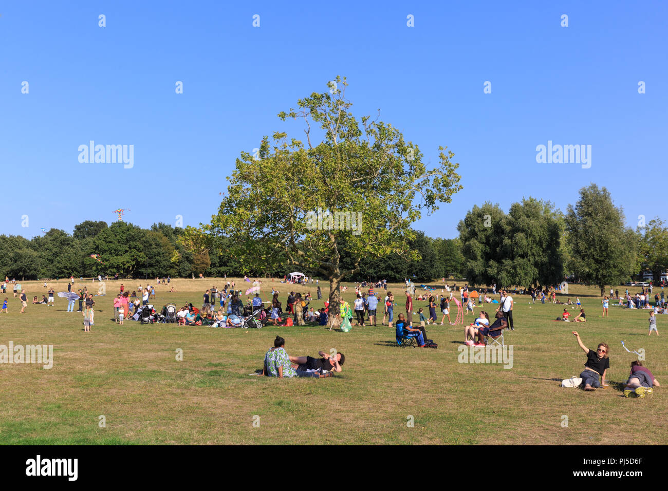 Persone picnic, sedersi in erba e volare Kites in Streatham Common Park in un pomeriggio soleggiato, Streatham, South London, Regno Unito Foto Stock