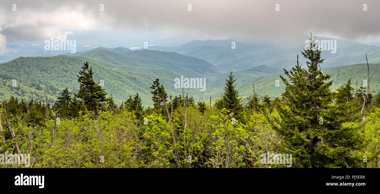 Una vista del Parco Nazionale di Great Smoky Mountains Foto Stock