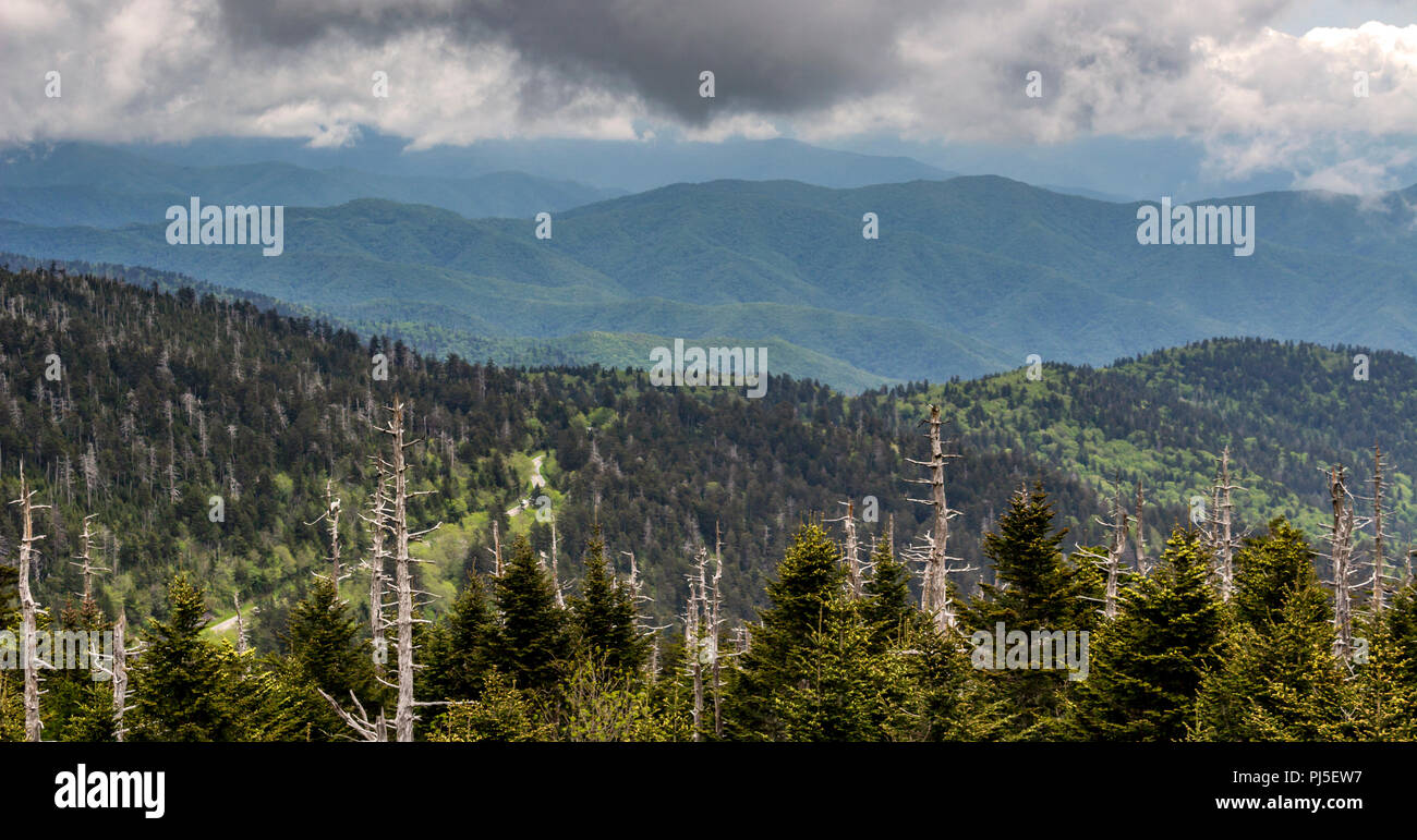 Una vista del Parco Nazionale di Great Smoky Mountains Foto Stock